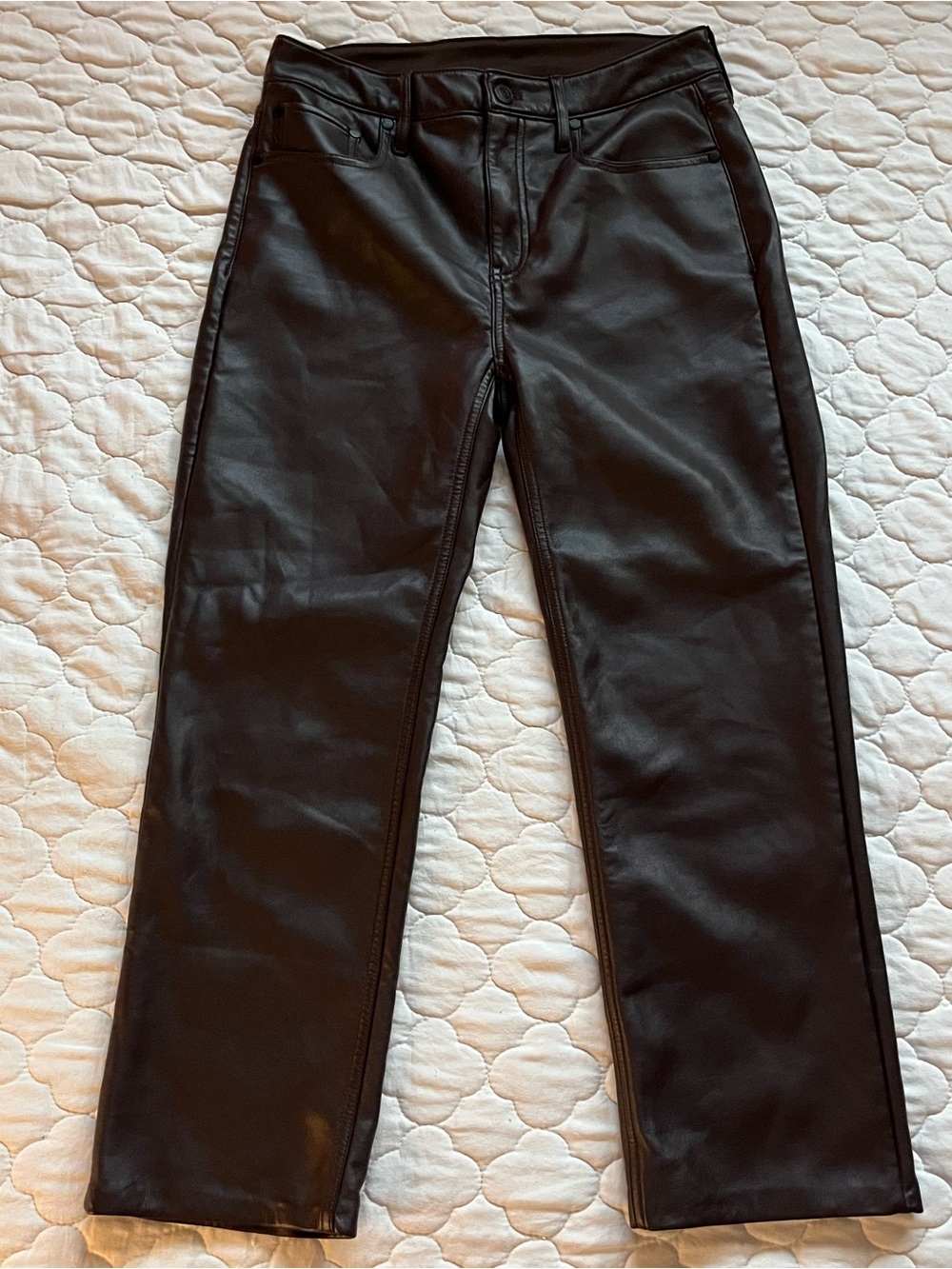 Quince Dark Chocolate Brown Vegan Faux Leather Straight Leg Pants